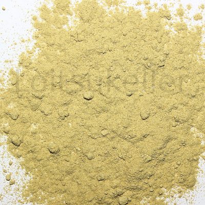 Maitake pulber (60g)