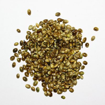 Kanepiseemned koorega (500g)