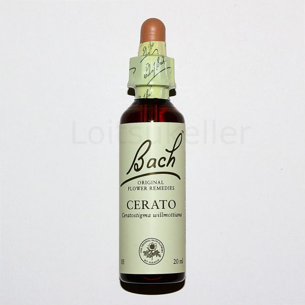 Cerato: Tiibeti sarvjuur - Metsik lill himaalajast (20ml)