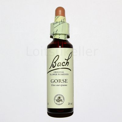 Gorse: Harilik astelhernes (20ml)