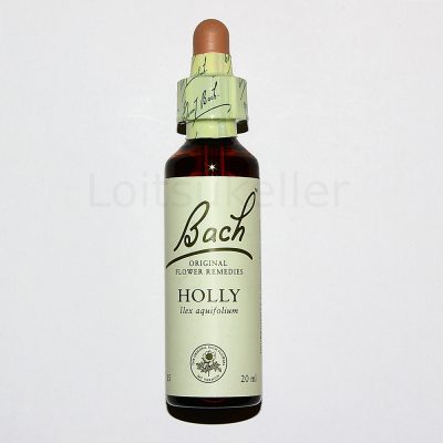Holly: Iileks (astelpõõsas) (20ml)