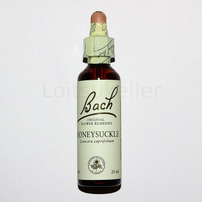 Honeysuckle: Lõhnav kuslapuu (20ml)