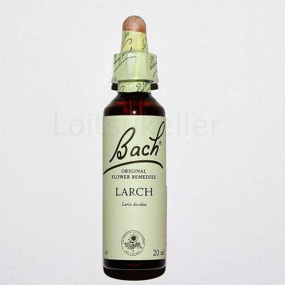 Larch: euroopa lehis (20ml)