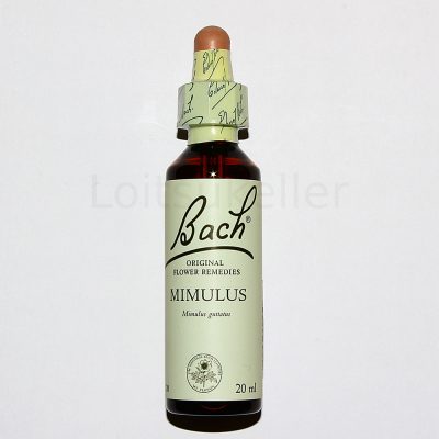 Mimulus: Kollane pärdiklill (20ml)