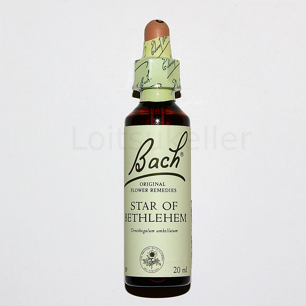 Star of Bethlehem: Sarik linnupiim (20ml)