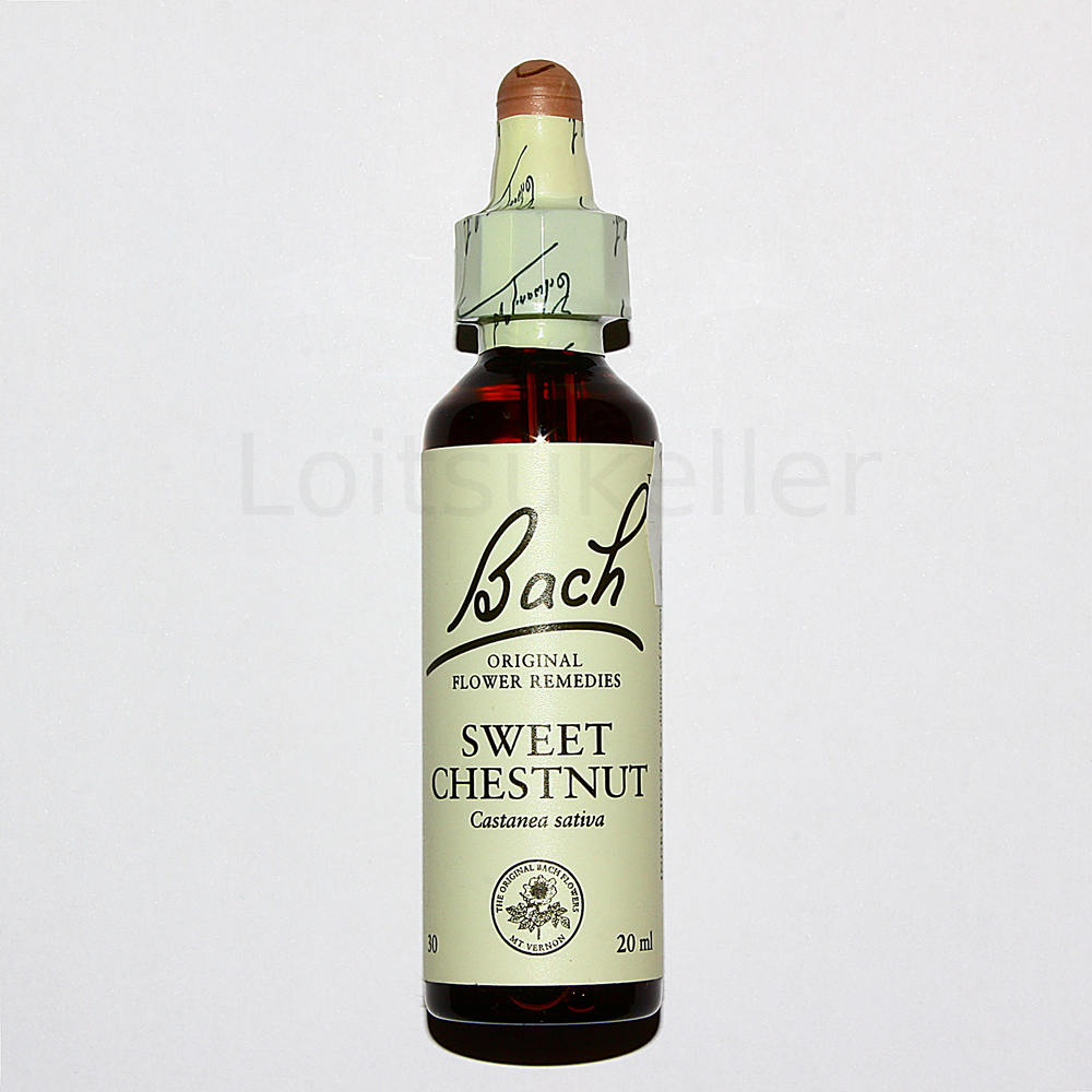 Sweet Chestnut: Harilik kastanipuu (20ml)