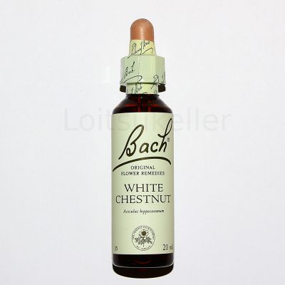 White Chestnut: Harilik hobukastan (20ml)