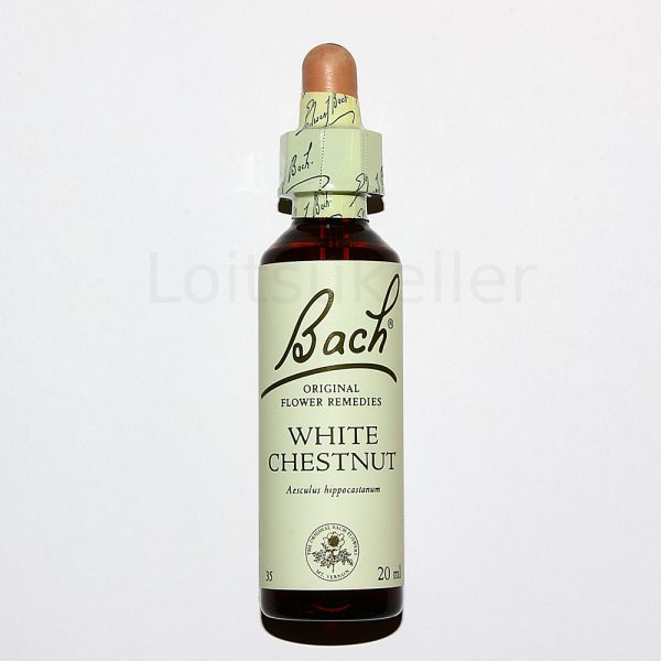 White Chestnut: Harilik hobukastan (20ml)