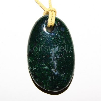 Sammalahhaat ripats suur lapik (~2,2*2,8 cm)