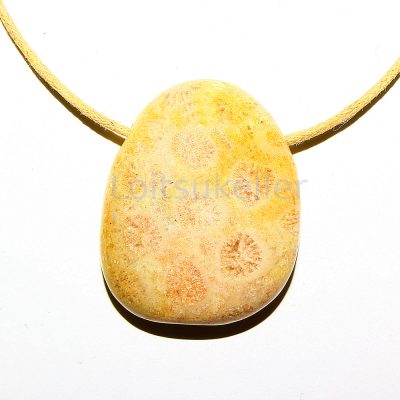 Kivistunud korall ripats