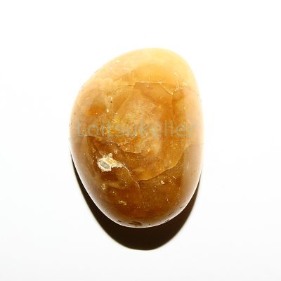 Mesiopaal lihvitud (~3*3,5 cm)