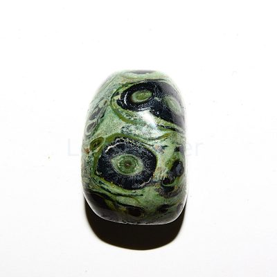 Kambaba rüoliit tumedam lihvitud suur (~2*3 cm)