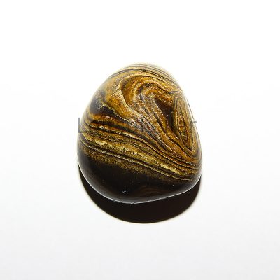 Stromatoliit lihvitud väike (~1,5*2 cm)