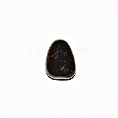 Šungiit (shungiit) ripats (~2,2*2,8 cm)