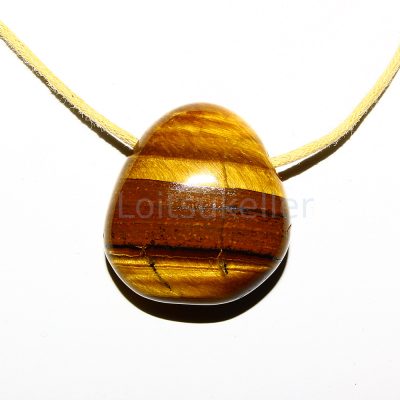 Tiigrisilm ripats (~2,0*2,5 cm)