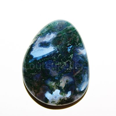 India sammalahhaat seib