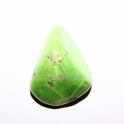 Hiina krüsopraas lihvitud