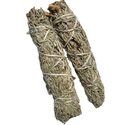 Sinine Salvei  x2 / Shasta Sage Smudge x2 (~11cm,~20-35g)