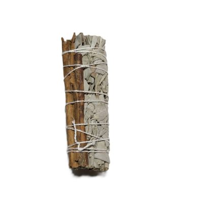 Valge salvei kaneeliga (indiaani) (~10cm, ~30g)