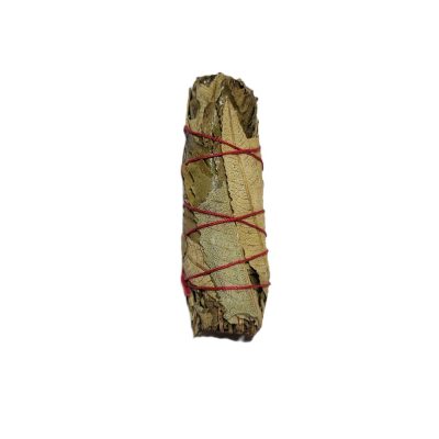 Yerba Santa tõrvik "Püha taim" 12cm